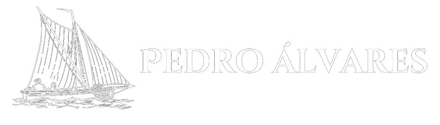 Pedro Álvares — Google Ads + IA para Empresas